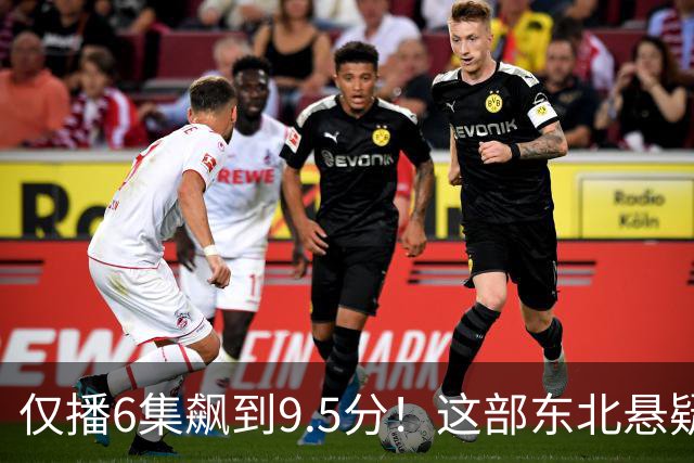 仅播6集飙到9.5分！这部东北悬疑剧凭什么封神