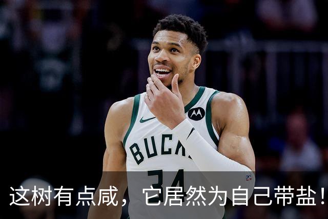 这树有点咸，它居然为自己带盐！古人没盐了就找这种树救急！